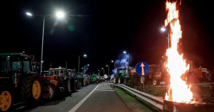 agrotes4 08122025 1200x630.jpg agrotes4 08122025 1200x630.jpg