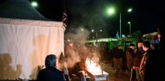 agrotes5 01122025 1200x630.jpg