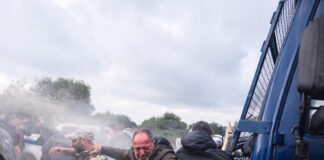 agrotes5 08122025 1200x630.jpg