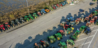 agrotes87 1 1200x630.jpg