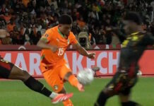 akti elefantostoy kameroyn grab 1200x630.jpg