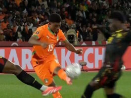 akti elefantostoy kameroyn grab 1200x630.jpg