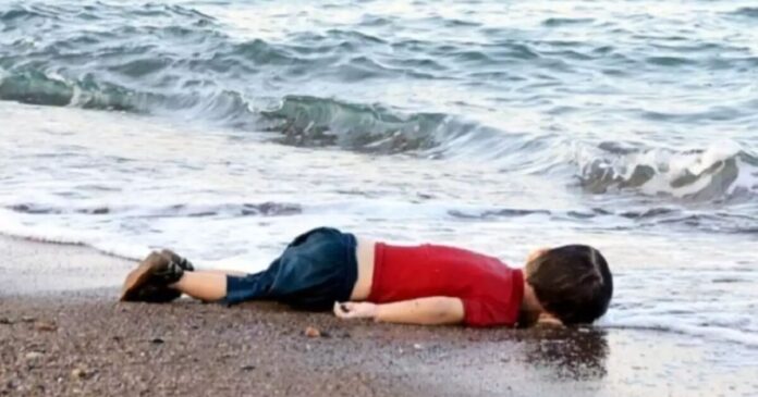 alan 1200x630.jpg alan 1200x630.jpg