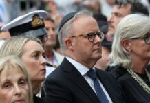 albaneze 1 1200x630.jpg