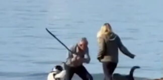 albania 1200x630.jpg