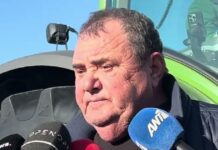 anestidis 1200x630.jpg