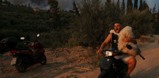 ap25332087104912 1200x630.jpg