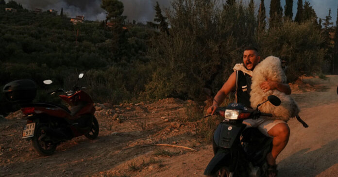 ap25332087104912 1200x630.jpg