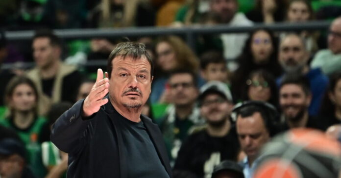 ataman 1 1200x630.jpg ataman 1 1200x630.jpg