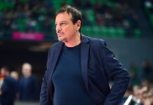 ataman 10 1200x630.jpg