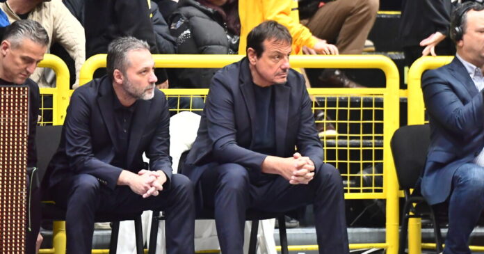 ataman 12 1200x630.jpg