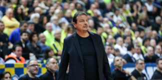 ataman 6 1200x630.jpg