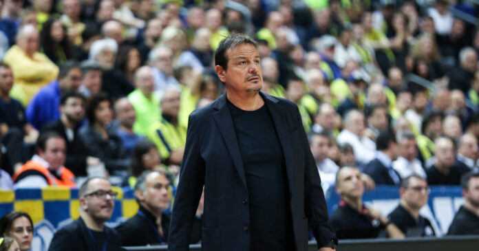 ataman 6 1200x630.jpg