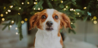 b33088ab72d8b2875e0c9204e7b68660 L.jpg