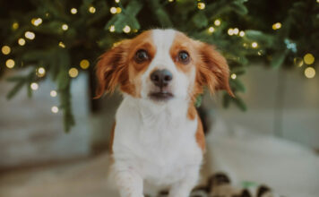 b33088ab72d8b2875e0c9204e7b68660 L.jpg