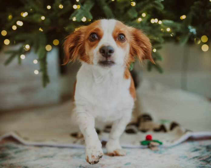 b33088ab72d8b2875e0c9204e7b68660 L.jpg b33088ab72d8b2875e0c9204e7b68660 L.jpg