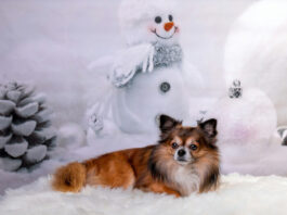 b9647bc4a1977152669bd0b3fde13742 L.jpg