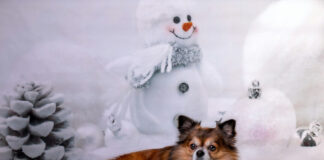 b9647bc4a1977152669bd0b3fde13742 L.jpg