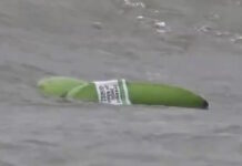 Γέμισαν μπανάνες οι ακτές της Βρετανίας: Ξεβράστηκαν μετά την ανατροπή φορτηγού πλοίου bananes britain 09122025 1200x630.jpg