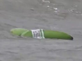 bananes britain 09122025 1200x630.jpg