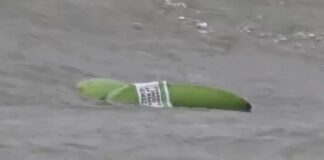 bananes britain 09122025 1200x630.jpg