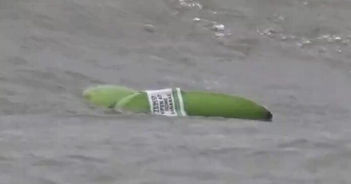 bananes britain 09122025 1200x630.jpg bananes britain 09122025 1200x630.jpg