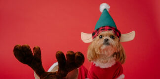 bb6d4870e19a757799d26541c2597328 L.jpg