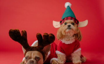 bb6d4870e19a757799d26541c2597328 L.jpg