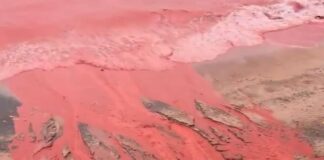 blood rain 1200x630.jpg