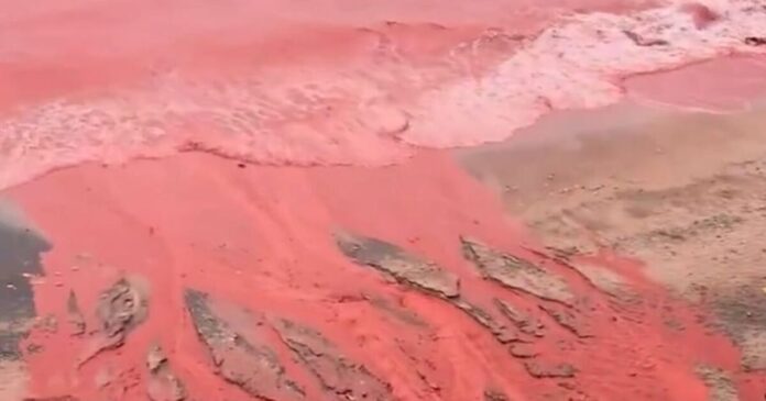 blood rain 1200x630.jpg blood rain 1200x630.jpg