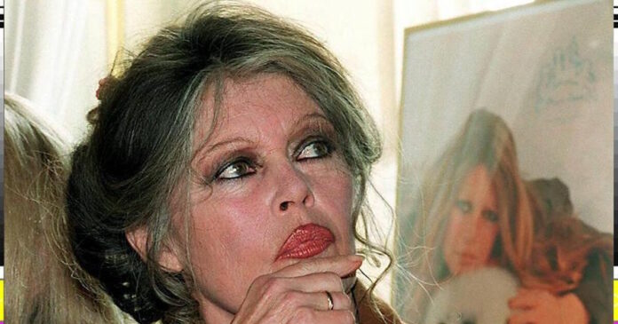 brigitte bardot 2 1200x630.jpg brigitte bardot 2 1200x630.jpg
