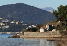 brigitte bardot r 1 1200x630.jpg