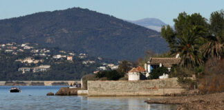 brigitte bardot r 1 1200x630.jpg