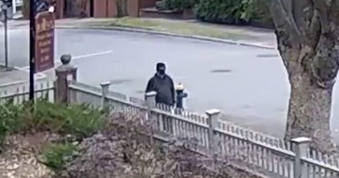 brown45 1200x630.jpg brown45 1200x630.jpg