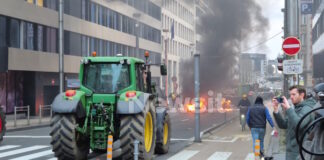 brussels agrotes 1200x630.jpg