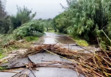 byron eurokinissi 1200x630.jpg