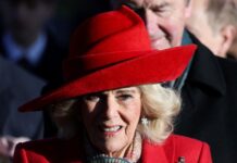 camilla 1200x630.jpg