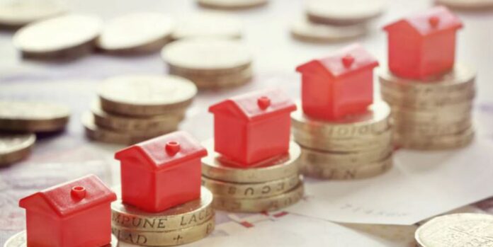 daneia 1.jpg daneia 1.jpg