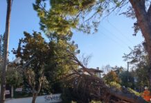 Θεσσαλονίκη: «Βουτιά» έκανε ο υδράργυρος – 710 κλήσεις στην Πυροσβεστική και ριπές πάνω από 100 χιλιόμετρα dentro 1 1200x630.jpg