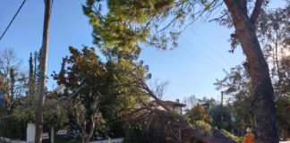 dentro 1 1200x630.jpg