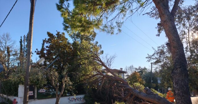 dentro 1 1200x630.jpg