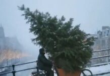 Η McDonald’s Ολλανδίας έκανε χριστουγεννιάτικη διαφήμιση με ΑΙ και δέχτηκε την κατακραυγή του κοινού diafimisi ai 1 1200x630.jpg