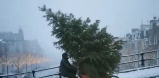 diafimisi ai 1 1200x630.jpg