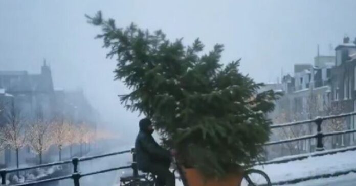 diafimisi ai 1 1200x630.jpg diafimisi ai 1 1200x630.jpg