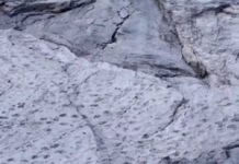 dinosauroi 1200x630.jpg