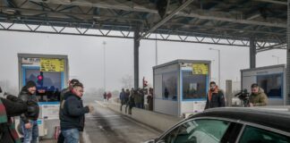 diodia agrotes 1 1200x630.jpg