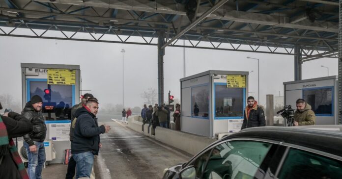 diodia agrotes 1 1200x630.jpg