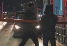 diodia bares 1200x630.jpg