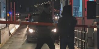 diodia bares 1200x630.jpg