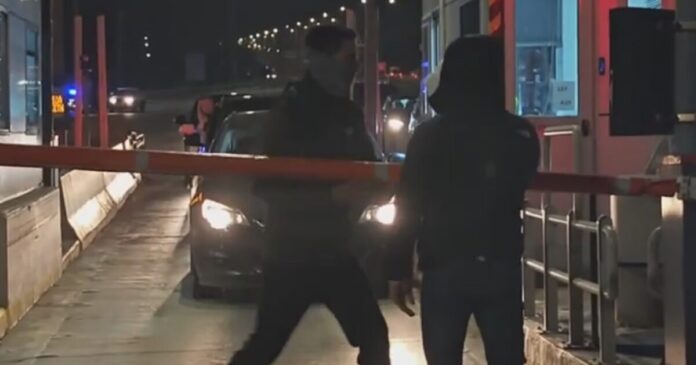 diodia bares 1200x630.jpg